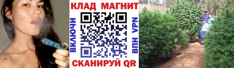Наркошоп купить Марихуана  Псилоцибиновые грибы  ГАШИШ  Меф мяу мяу  COCAIN  Жуков