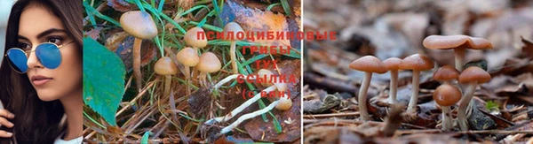 скорость Кодинск