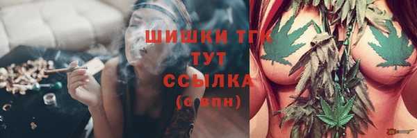 бошки Козельск