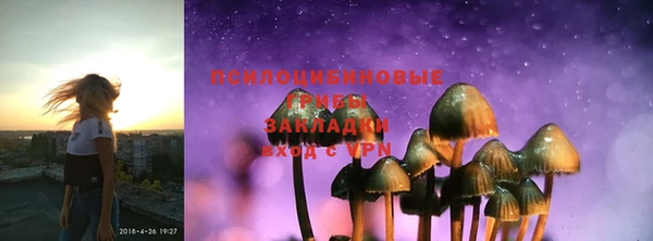 хмурый Козловка