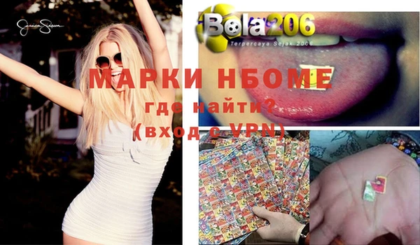 хмурый Козловка