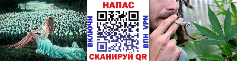 Купить где  Жуков  МАРИХУАНА конопля 